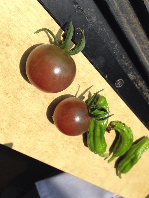 f:id:Brunnenstein:20140619114543j:plain f:id:Brunnenstein:20140619114543j:plain
