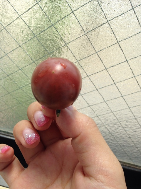 f:id:Brunnenstein:20140619114957j:plain f:id:Brunnenstein:20140619114957j:plain
