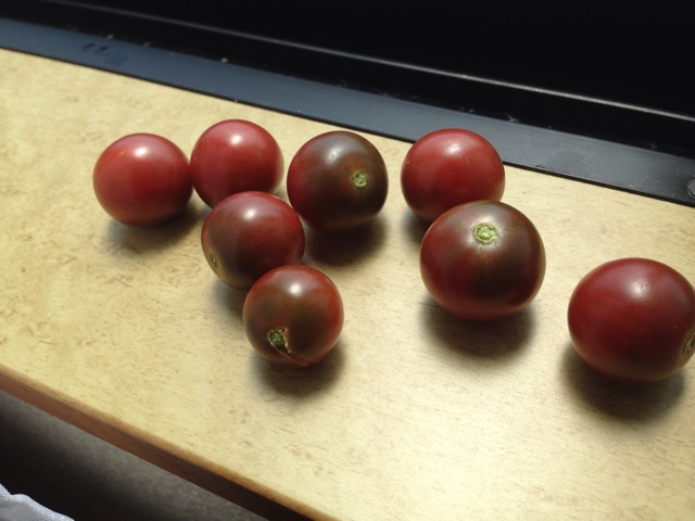 f:id:Brunnenstein:20140714105006j:plain f:id:Brunnenstein:20140714105006j:plain