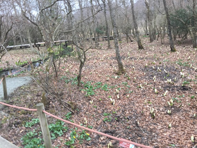 f:id:Brunnenstein:20150412003400j:plain f:id:Brunnenstein:20150412003400j:plain