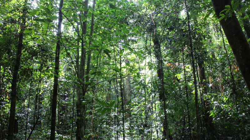 f:id:BuckS100:20150423173634j:plain f:id:BuckS100:20150423173634j:plain