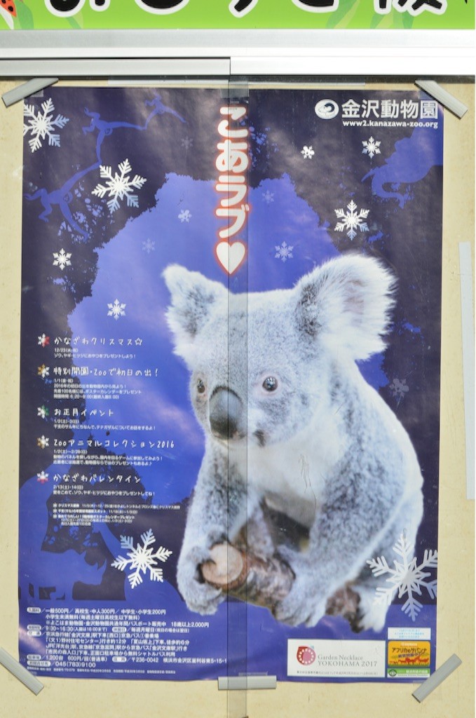 f:id:CH3OH:20160331032044j:image f:id:CH3OH:20160331032044j:image