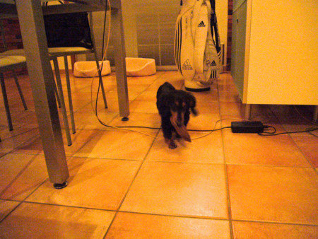 f:id:CLALIS:20081118143724j:image:w320 f:id:CLALIS:20081118143724j:image:w320
