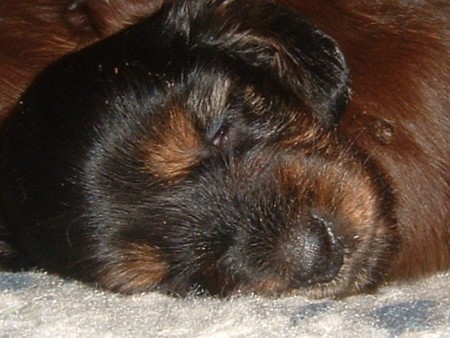 f:id:CLALIS:20081118144039j:image:w320 f:id:CLALIS:20081118144039j:image:w320