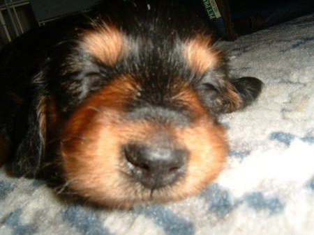 f:id:CLALIS:20081118144040j:image:w320 f:id:CLALIS:20081118144040j:image:w320