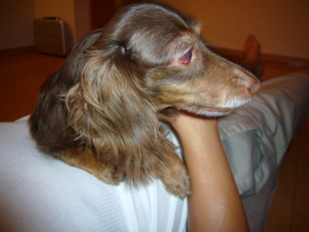 f:id:CLALIS:20090819114234j:image