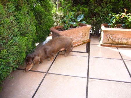 f:id:CLALIS:20100607110147j:image