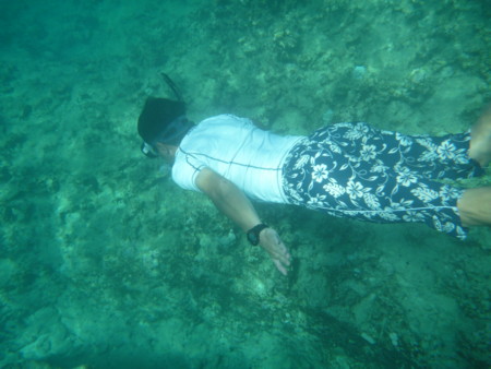 f:id:CLALIS:20100915093446j:image f:id:CLALIS:20100915093446j:image