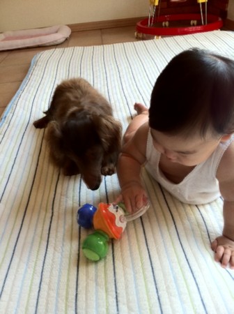 f:id:CLALIS:20110719112252j:image