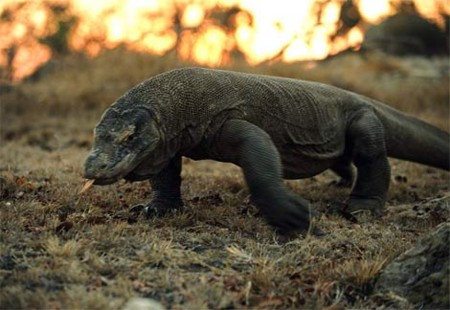 f:id:CLALIS:20120217161458j:image