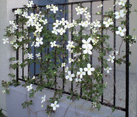 f:id:CLALIS:20140421093953j:image