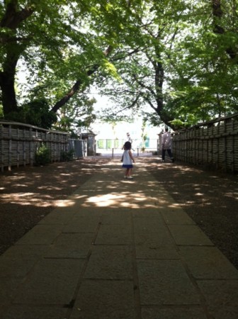 f:id:CLALIS:20140507124958j:image