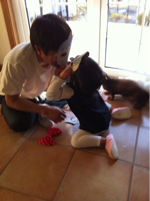 f:id:CLALIS:20150427091300j:image