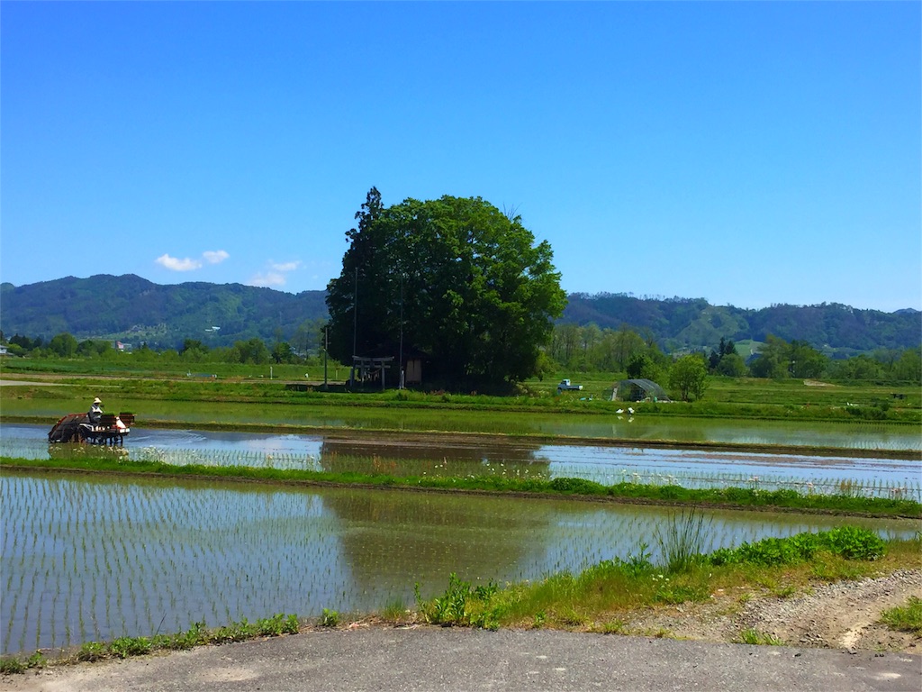f:id:CNwriting:20160513122020j:plain f:id:CNwriting:20160513122020j:plain