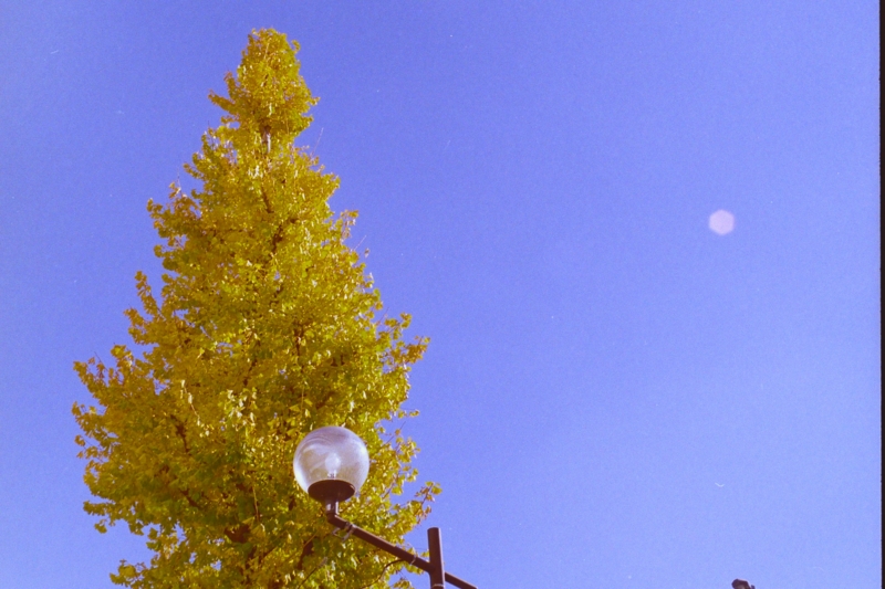 f:id:Chachapo:20050101002052j:plain f:id:Chachapo:20050101002052j:plain