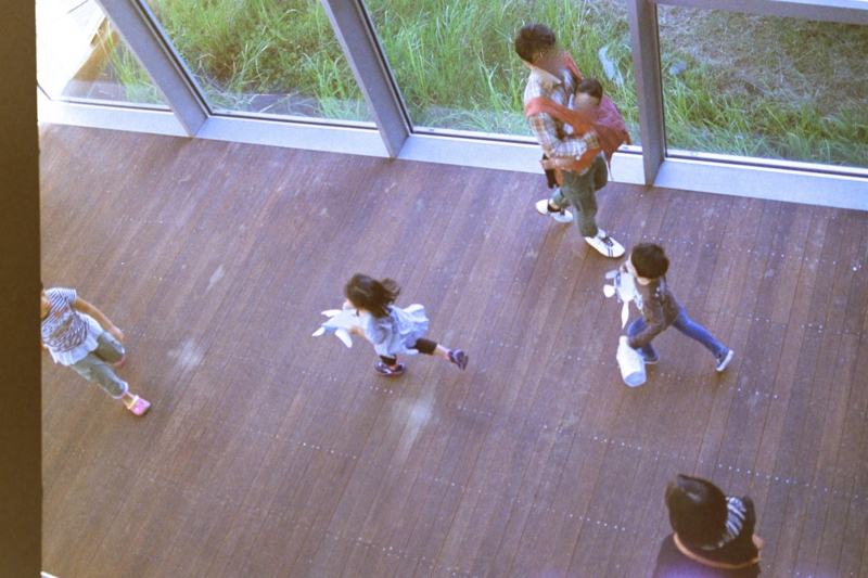 f:id:Chachapo:20050101002450j:plain f:id:Chachapo:20050101002450j:plain