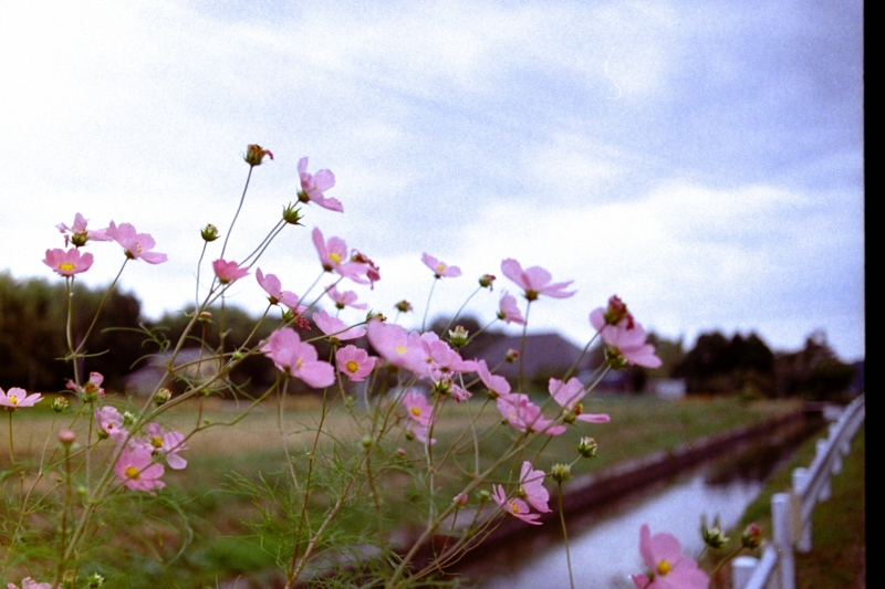 f:id:Chachapo:20050101004120j:plain f:id:Chachapo:20050101004120j:plain
