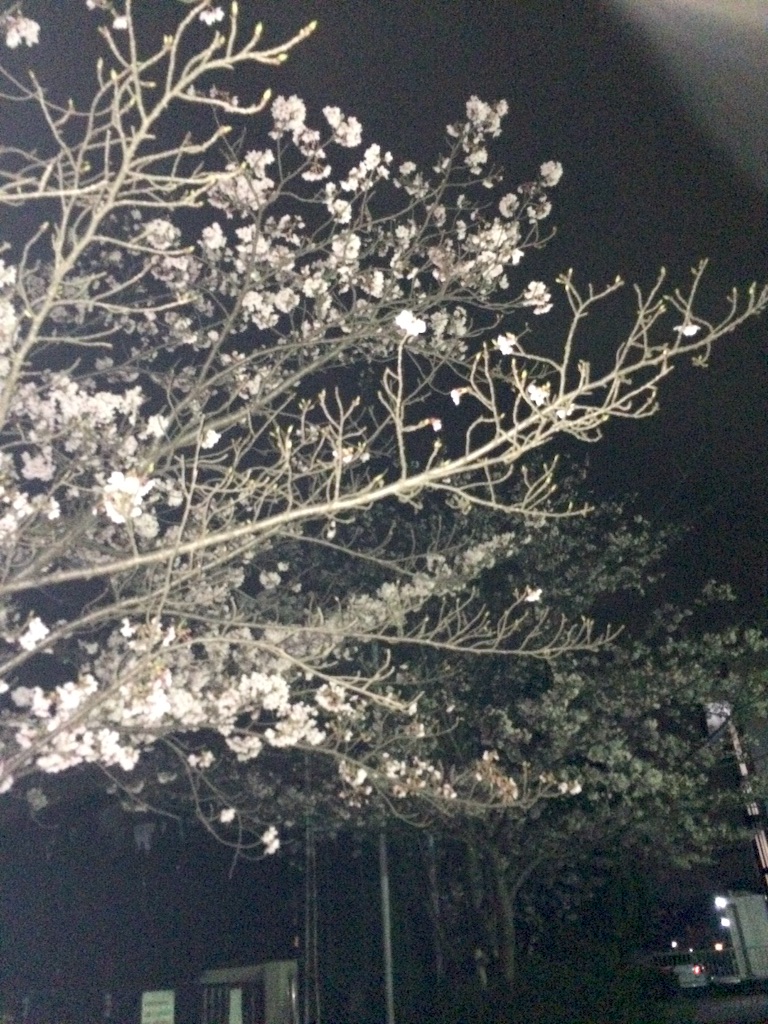 f:id:ChainBlog:20160404153753j:image f:id:ChainBlog:20160404153753j:image