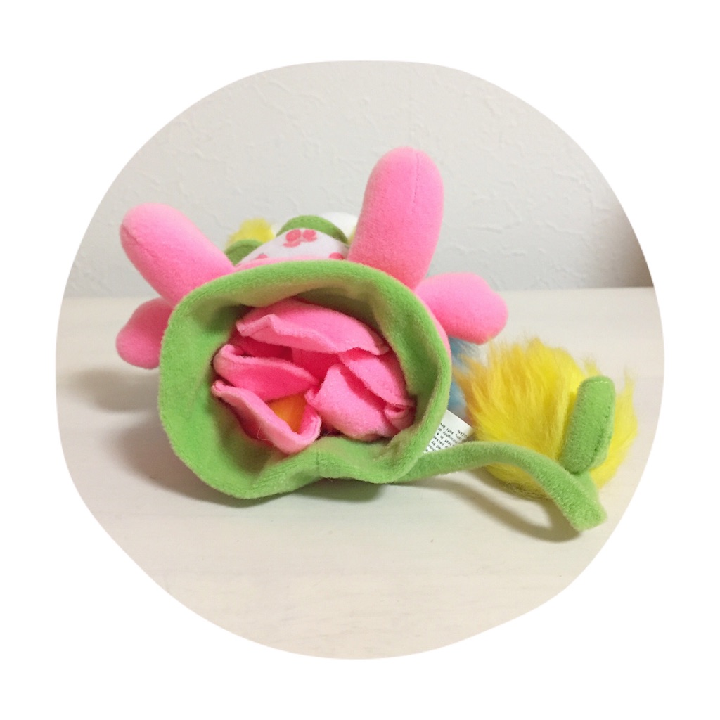 f:id:Chajirushi:20160603014312j:image f:id:Chajirushi:20160603014312j:image