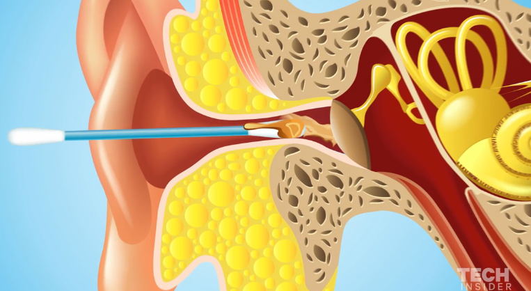 f:id:CoffeeTimes:20160311212222p:plain