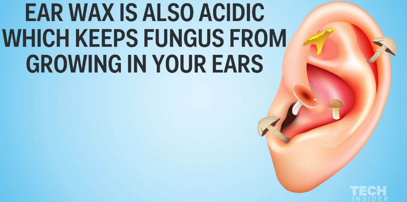 f:id:CoffeeTimes:20160311212601p:plain