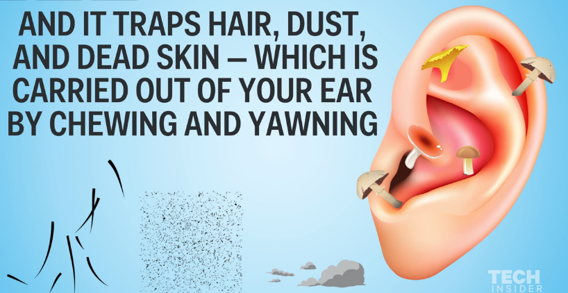 f:id:CoffeeTimes:20160311212633p:plain