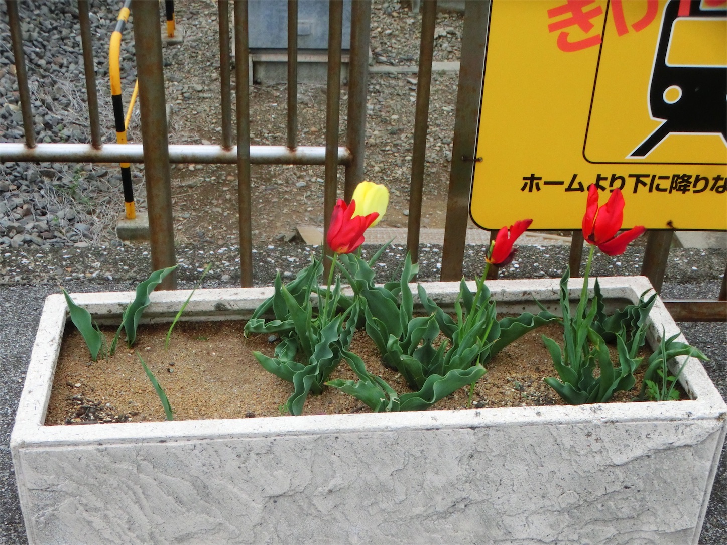 f:id:ComExp2133:20160417190718j:image f:id:ComExp2133:20160417190718j:image