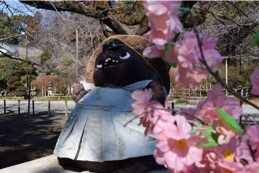 f:id:DONKIHOTE:20160219130623j:image f:id:DONKIHOTE:20160219130623j:image