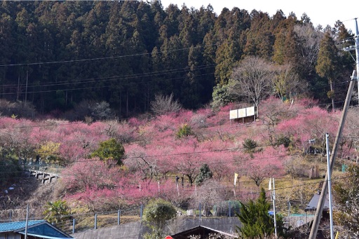 f:id:DONKIHOTE:20160228221535j:image f:id:DONKIHOTE:20160228221535j:image
