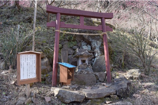 f:id:DONKIHOTE:20160229104050j:image f:id:DONKIHOTE:20160229104050j:image