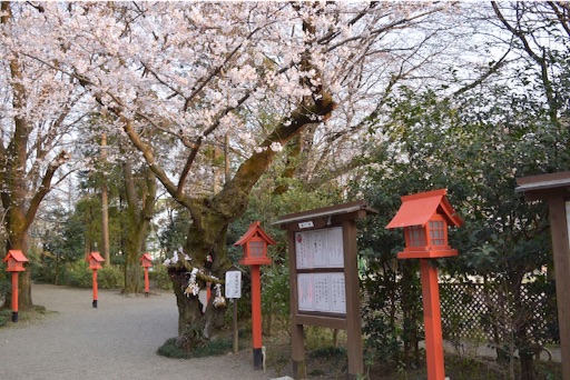 f:id:DONKIHOTE:20160410223113j:image f:id:DONKIHOTE:20160410223113j:image