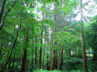 f:id:Daniel_Yang:20150923033934j:plain f:id:Daniel_Yang:20150923033934j:plain