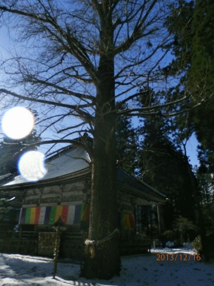 f:id:Dearrosita:20140526164147j:plain