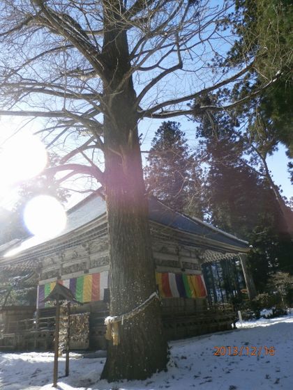 f:id:Dearrosita:20140526164205j:plain