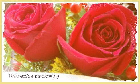 f:id:Decembersnow19:20131209023014j:plain f:id:Decembersnow19:20131209023014j:plain