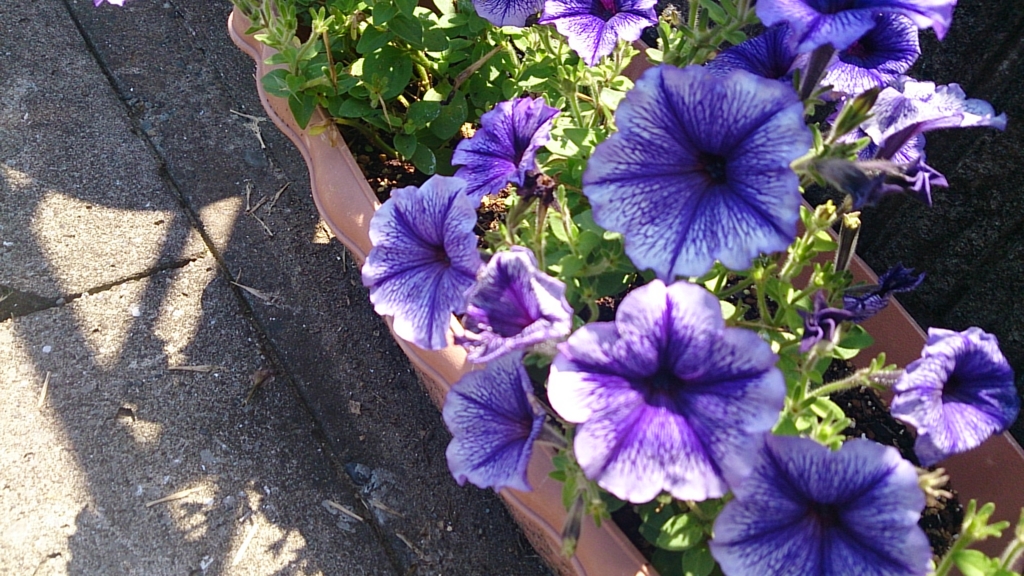 f:id:Decembersnow19:20140702132857j:plain f:id:Decembersnow19:20140702132857j:plain