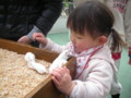 動物園２