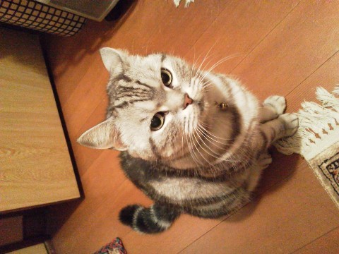 f:id:EK9_Type-R:20120212175014j:image f:id:EK9_Type-R:20120212175014j:image
