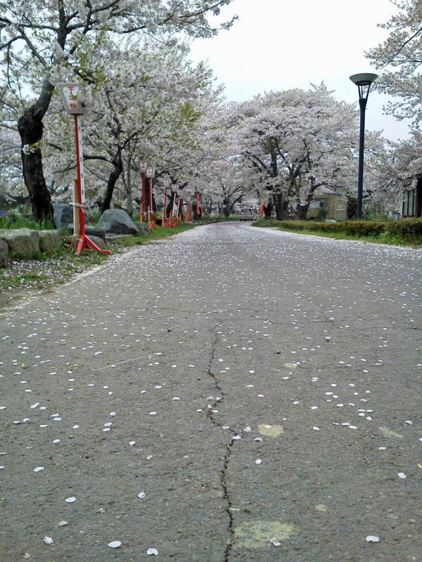 f:id:EK9_Type-R:20120430090809j:image f:id:EK9_Type-R:20120430090809j:image