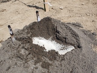 f:id:EK9_Type-R:20120512112254j:image f:id:EK9_Type-R:20120512112254j:image