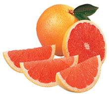 f:id:Earth-Gift:20121205185355j:plain f:id:Earth-Gift:20121205185355j:plain