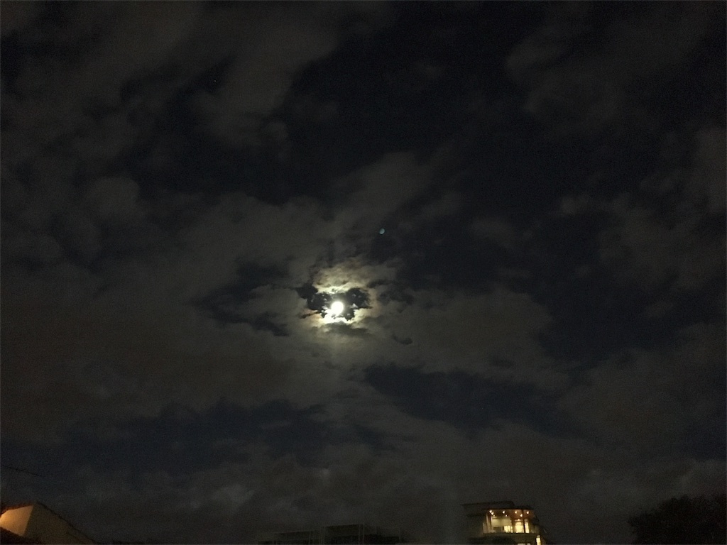 f:id:EarthAngelLight:20160320002059j:image f:id:EarthAngelLight:20160320002059j:image