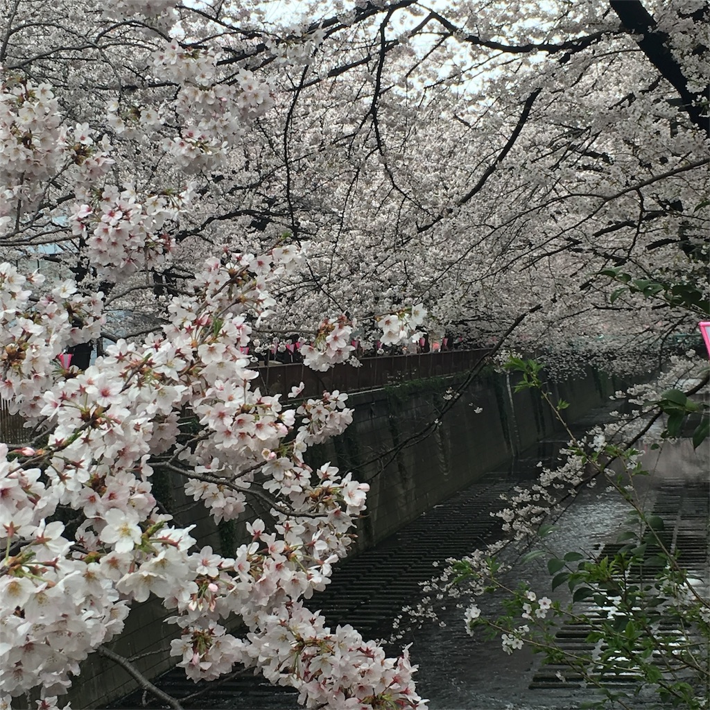 f:id:EasyPOS:20160407235353j:image f:id:EasyPOS:20160407235353j:image