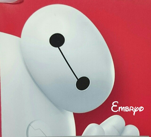 f:id:Embryo:20160428093307j:image f:id:Embryo:20160428093307j:image