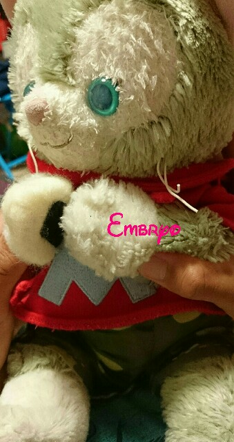 f:id:Embryo:20160608232533j:image f:id:Embryo:20160608232533j:image