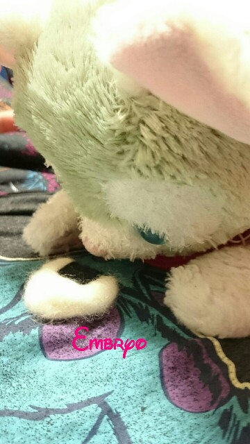f:id:Embryo:20160608233258j:image f:id:Embryo:20160608233258j:image