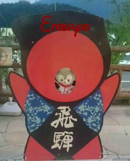 f:id:Embryo:20160615225127j:image f:id:Embryo:20160615225127j:image
