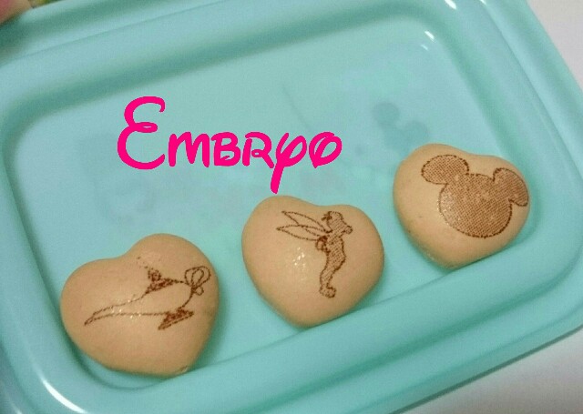f:id:Embryo:20160618225034j:image f:id:Embryo:20160618225034j:image