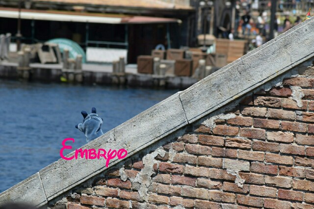 f:id:Embryo:20160626224818j:image f:id:Embryo:20160626224818j:image