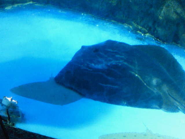 f:id:Flash-korin-BW:20121030122500j:plain f:id:Flash-korin-BW:20121030122500j:plain